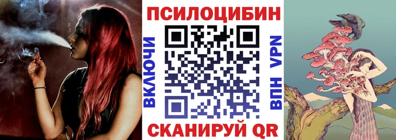 Псилоцибиновые грибы GOLDEN TEACHER  Купить где  Тайшет 